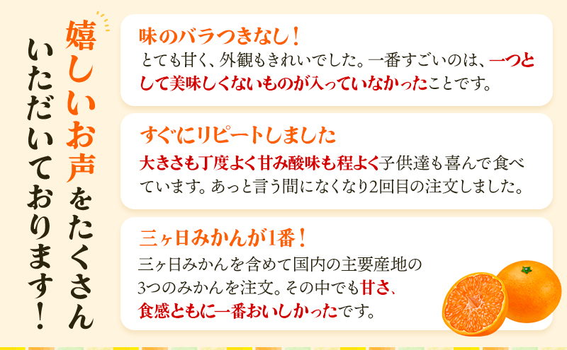 【2024年12月下旬より順次発送】三ヶ日みかん プレミアム（青島5kg）光センサー選果 果物 柑橘 フルーツ デザート 食後 おやつ 糖度 以上 箱詰め 混載 濃厚 冬の味覚 静岡県産 産地直送 ビタミン 