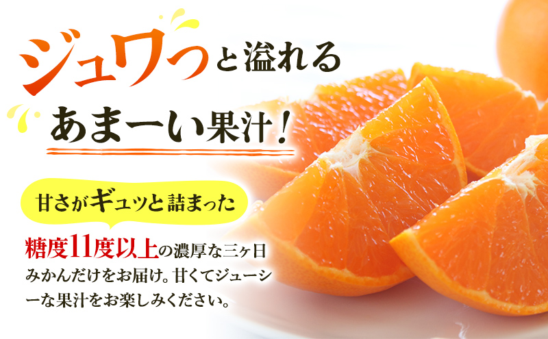 5kg 三ヶ日みかん 青島 M〜2L 混在 蜜柑 ミカン 果物 くだもの 浜松
