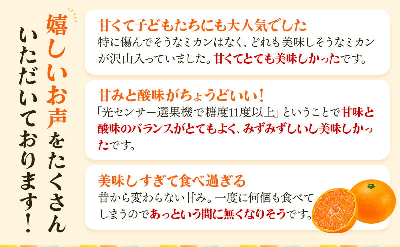 三ヶ日みかん 早生 5kg S～L 11月下旬より順次発送 みかん ミカン 蜜柑 早生みかん 三ヶ日 果物 くだもの フルーツ 旬の果物 旬のフルーツ 柑橘 柑橘類 糖度 静岡 静岡県 浜松市