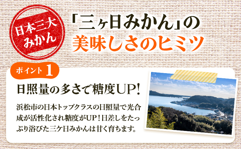 5kg 三ヶ日みかん 青島 M〜2L 混在 蜜柑 ミカン 果物 くだもの 浜松