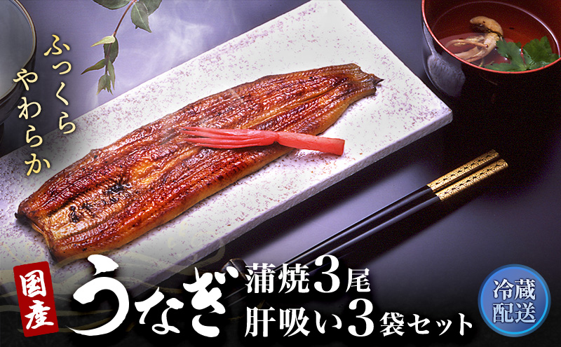 うなぎ 国産 長蒲焼き 3尾 ＆ 肝吸い セット 小分け うなぎ蒲焼 国産うなぎ 惣菜 おかず ギフト 贈答 贈答品 土用の丑の日 丑の日 レンジ調理 レンチン 蒲焼き ウナギ 鰻 肝 真空パック 冷蔵 冷蔵配送 静岡 浜松市