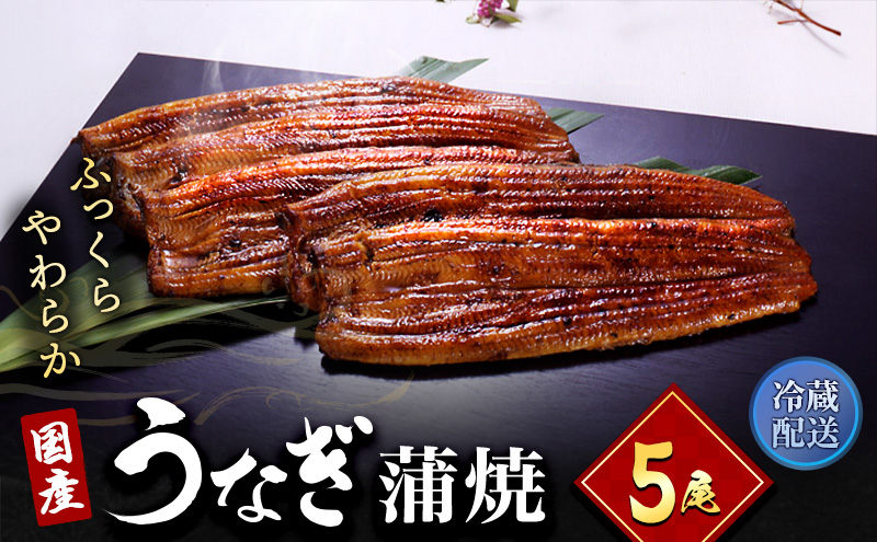 うなぎ 国産 長蒲焼 5尾 小分け 詰め合わせ 国産 うなぎ蒲焼 国産うなぎ 惣菜 おかず ギフト 贈答 贈答用 贈答品 土用の丑の日 丑の日 レンジ調理 レンチン 蒲焼き うな重 鰻 真空パック 冷蔵 冷蔵配送 静岡 静岡県 浜松市