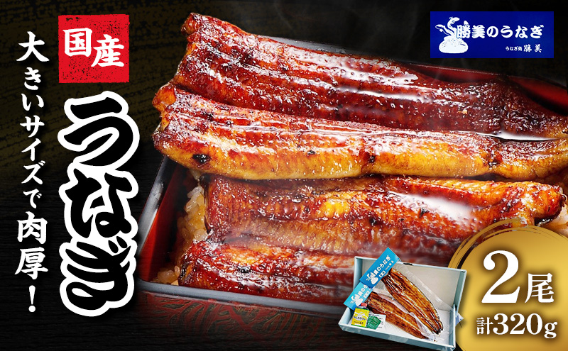 うなぎ 浜松 国産 鰻 蒲焼 2尾 (160g×2尾 タレ75ml×1 山椒付) セット 勝美 土用の丑の日 丑の日 小分け 真空パック 国産うなぎ 浜松うなぎ 浜名湖うなぎ 蒲焼き ギフト プレゼント 贈答 浜名湖 産地直送 冷凍 冷凍配送 静岡 静岡県 浜松市