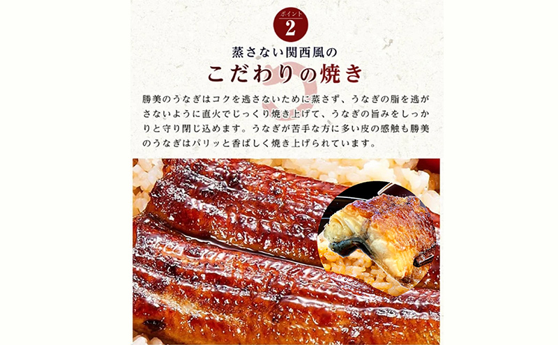 国産 うなぎ 蒲焼き 3種 セット 長焼き 160g 1尾 カット 80g きざみ 90g タレ 75ml 山椒付 詰め合わせ 国産うなぎ うなぎの蒲焼 鰻 魚介 魚介類 惣菜 お惣菜 小分け 簡単調理 個包装 勝美 静岡うなぎ 浜名湖うなぎ 静岡 静岡県 浜松市