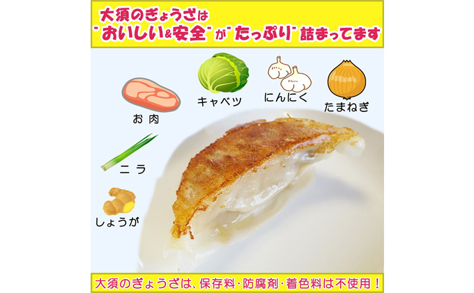 浜松餃子 大須のぎょうざ『王道 浜松ぎょうざ（レギュラー味 ）』×4袋（1袋20個入、合計80個）