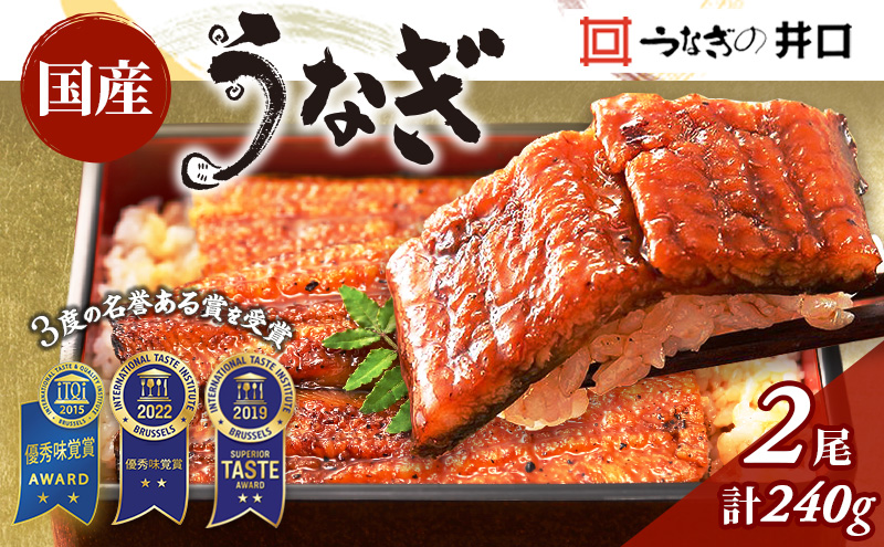 国産うなぎ 蒲焼き 2尾 (120g×2尾) 山椒 たれ セット 詰め合わせ うなぎの井口 国産ウナギ 国産 うなぎ 鰻 蒲焼き うなぎの蒲焼 鰻の蒲焼き 小分け おすすめ 贈答用 ギフト 冷蔵 静岡 静岡県 浜松市 【配送不可：離島】【2026年1月15日以降順次発送】