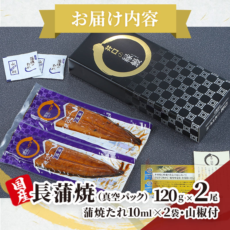 国産うなぎ 蒲焼き 2尾 (120g×2尾) 山椒 たれ セット 詰め合わせ うなぎの井口 国産ウナギ 国産 うなぎ 鰻 蒲焼き うなぎの蒲焼 鰻の蒲焼き 小分け おすすめ 贈答用 ギフト 冷蔵 静岡 静岡県 浜松市 【配送不可：離島】