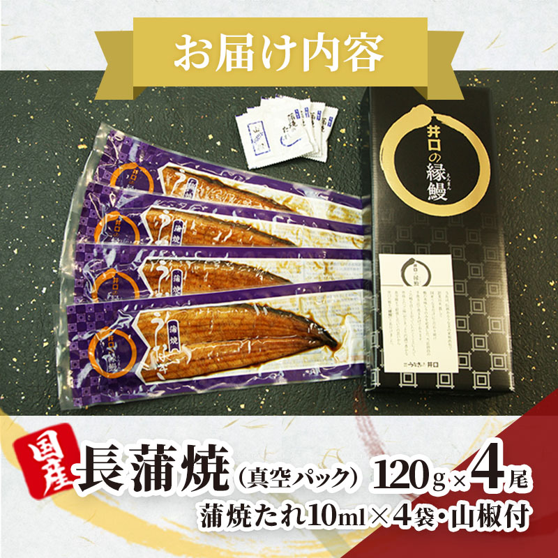 ITI優秀味覚賞受賞 国産うなぎ 長蒲焼き 4尾 (120g×4尾) 山椒 たれ セット 詰め合わせ うなぎの井口 国産 うなぎ 鰻 蒲焼き うなぎの蒲焼 鰻の蒲焼き 小分け おすすめ ギフト 冷蔵 静岡 静岡県 浜松市 【配送不可：離島】