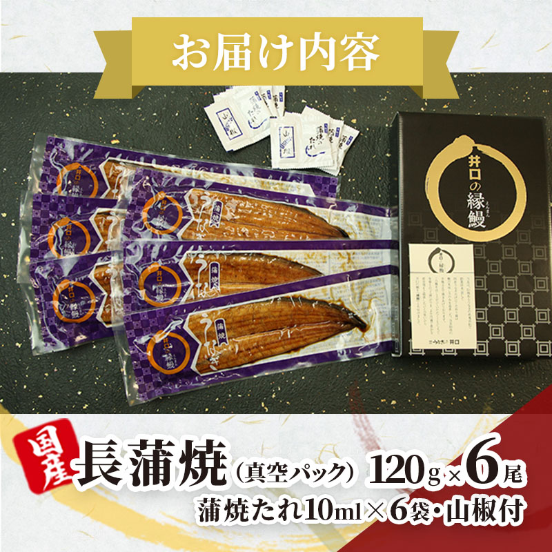 ITI優秀味覚賞受賞 国産うなぎ 長蒲焼き 6尾 (120g×6尾) 山椒 たれ セット 詰め合わせ うなぎの井口 国産 うなぎ 鰻 蒲焼き うなぎの蒲焼 鰻の蒲焼き 小分け おすすめ ギフト 冷蔵 静岡 静岡県 浜松市 【配送不可：離島】