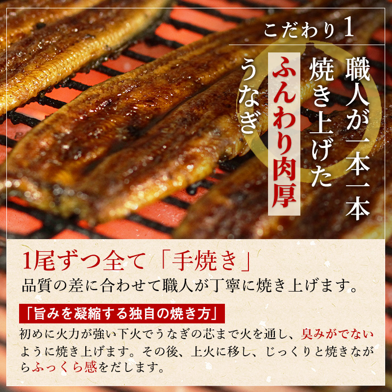 ITI優秀味覚賞受賞 国産うなぎ 定期便 12ヶ月 長蒲焼き 2尾 (120g×2尾) 山椒 たれ セット うなぎの井口 国産 うなぎ 鰻 蒲焼き うなぎの蒲焼 小分け 冷蔵 おすすめ 12回 お楽しみ 静岡県 浜松市 【配送不可：離島】