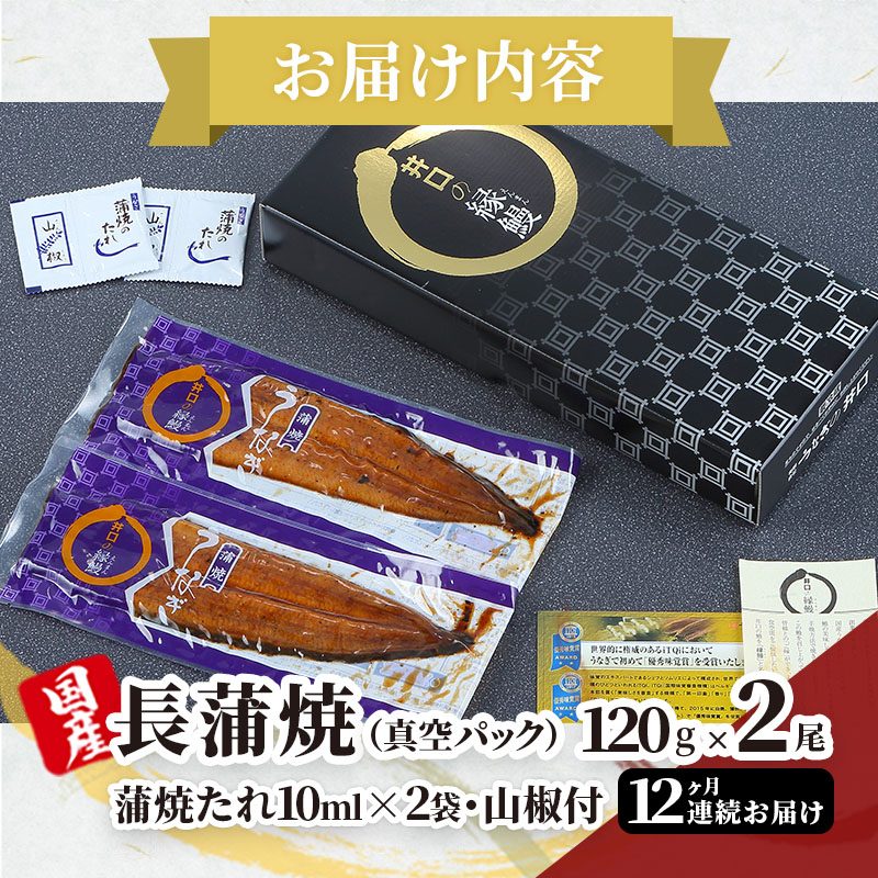 ITI優秀味覚賞受賞 国産うなぎ 定期便 12ヶ月 長蒲焼き 2尾 (120g×2尾) 山椒 たれ セット うなぎの井口 国産 うなぎ 鰻 蒲焼き うなぎの蒲焼 小分け 冷蔵 おすすめ 12回 お楽しみ 静岡県 浜松市 【配送不可：離島】