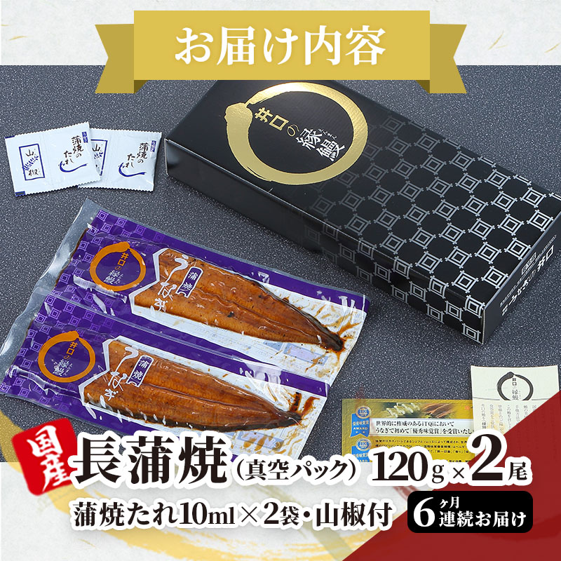 ITI優秀味覚賞受賞 国産うなぎ 定期便 6ヶ月 長蒲焼き 2尾 (120g×2尾) 山椒 たれ セット うなぎの井口 国産 うなぎ 鰻 蒲焼き うなぎの蒲焼 小分け 冷蔵 おすすめ 贈答用 ギフト 6回 半年 お楽しみ 静岡 静岡県 浜松市 【配送不可：離島】