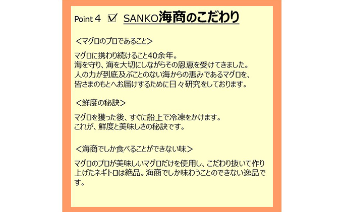 【6回定期便】SANKO海商のネギトロ 1kg（250g×4パック）×6回【配送不可：離島】