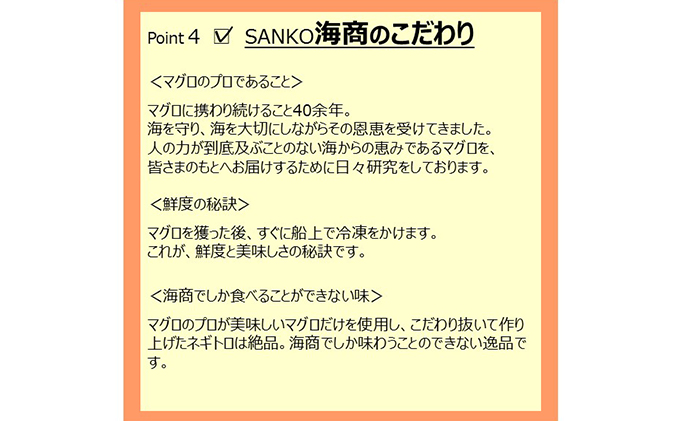 【12回定期便】SANKO海商のネギトロ 1kg（250g×4パック）×12回【配送不可：離島】