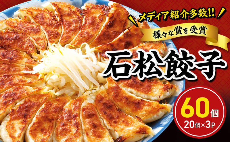 餃子 浜松 元祖 浜松餃子 石松 定番餃子 60個入 詰め合わせ セット 国産 冷凍餃子 惣菜 おかず 点心 中華 ご当地グルメ ギフト プレゼント 贈答 贈答品 贈り物 ギョーザ 浜松ぎょうざ 冷凍 静岡県浜松市 浜松市 【配送不可：離島】