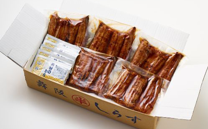 〈丸半堀江商店〉浜名湖産 串焼きうなぎ蒲焼 5袋（100g以上×5袋・タレ・山椒付き）【配送不可：離島】 国産 真空パック