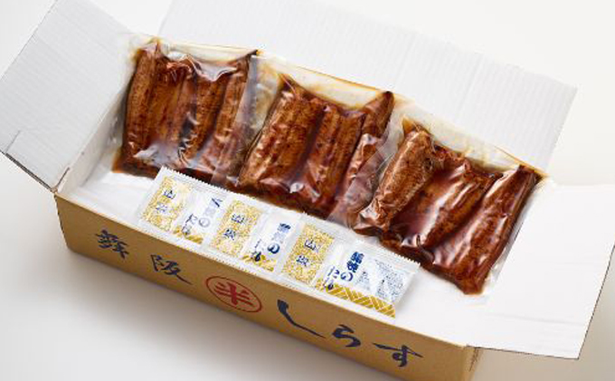 〈丸半堀江商店〉浜名湖産 串焼きうなぎ蒲焼 3袋（100g以上×3袋・タレ・山椒付き）【配送不可：離島】 国産 真空パック