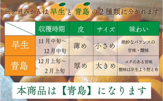 先行予約【2025年1月上旬より順次発送】陽だまりファーム 三ヶ日 青島 みかん 5kg 1箱