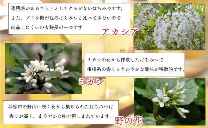 クラウンメロン並【白等級】中玉1玉＋アラキ養蜂園の国産はちみつ【アカシア＋ミカン＋野の花】300g×各1本（合計900g）