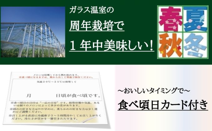 クラウンメロン　規格外特大玉　2玉入【毎月お届け12ヶ月定期便】【配送不可：離島】