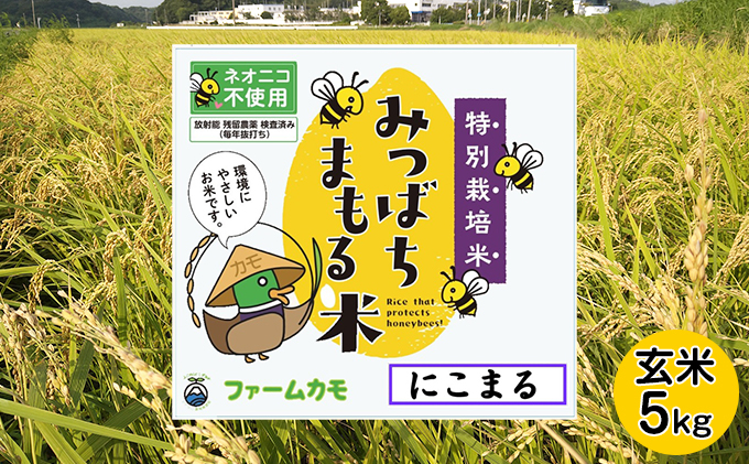 【2025年12月上旬より順次発送】雄踏ファームカモ産 玄米「みつばちまもる米」玄米 5kg にこまる お米 コメ ご飯 ライス 特別栽培米 検査米 1等米 甘い おすすめ おにぎり おむすび 静岡 浜松