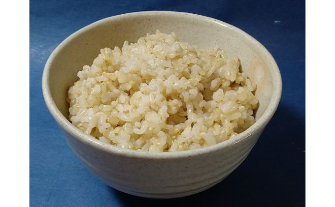 【2024年11月中旬より順次発送】雄踏ファームカモ産 玄米「みつばちまもる米」5kg（品種：にこまる）