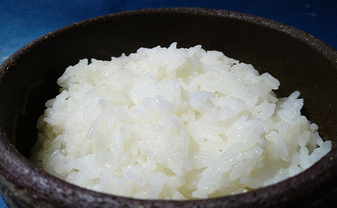 【2025年12月上旬より順次発送】雄踏ファームカモ産「みつばちまもる米」白米 5kg にこまる お米 コメ ご飯 ライス 特別栽培米 検査米 1等米 甘い おすすめ おにぎり おむすび 静岡 浜松