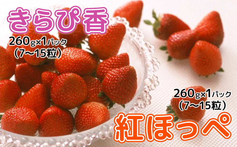 【2025年1月中旬より順次発送】いちご 食べ比べ セット （きらぴ香 ・ 紅ほっぺ   260g×各1パック） 合計 2パック【配送不可：離島】