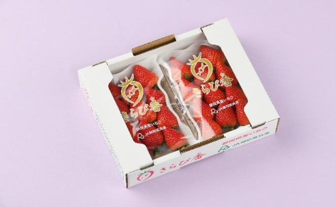 【2026年1月中旬より順次発送】いちご きらぴ香 260g×2パック【配送不可：離島】 果物 フルーツ デザート 食後 新品種 酸味が少ない 甘味が強い 国産 静岡県産 浜松市産 