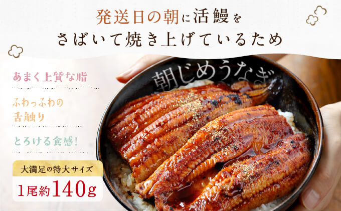 【浜名湖産】朝じめ うなぎ 溶岩焼き 蒲焼き 3尾（約140g×3尾）