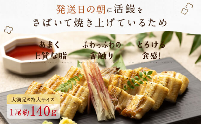 【浜名湖産】朝じめ うなぎ 溶岩焼き 白焼き 3尾（約140g×3尾） 土用の丑の日 丑の日