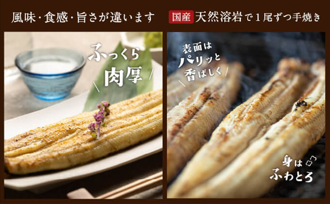 【浜名湖産】朝じめ うなぎ 溶岩焼き 白焼き 10尾（約140g×10尾） 土用の丑の日 丑の日