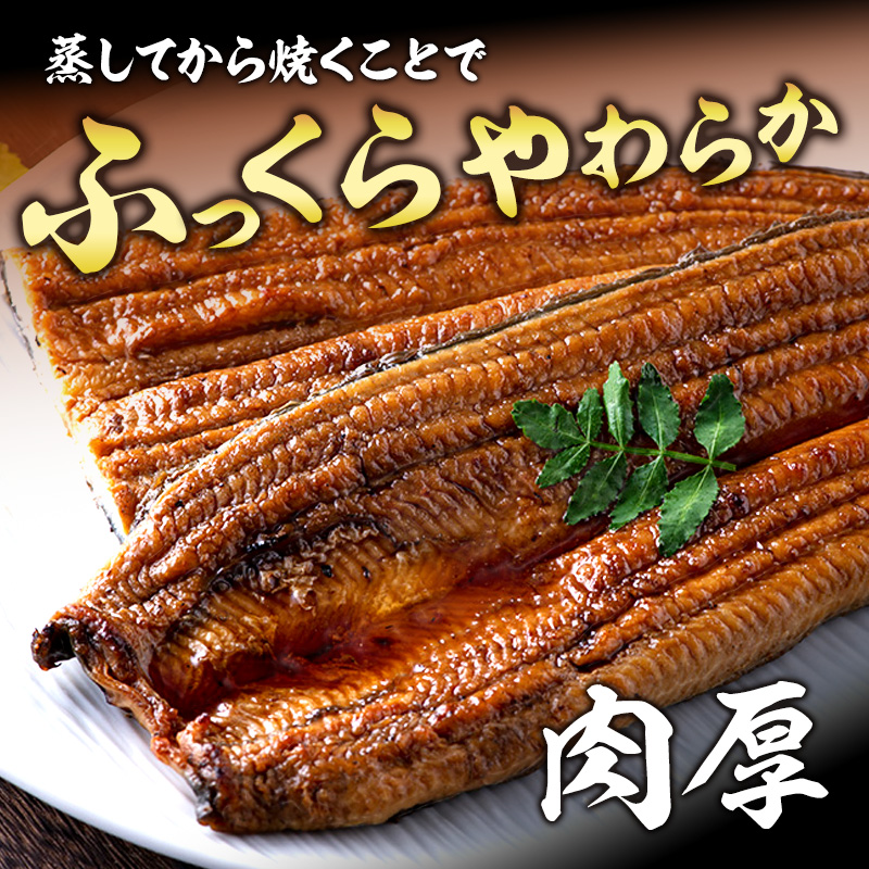 上 国産うなぎ 浜名湖産 長蒲焼き 2尾 合計280g以上 山椒 たれ セット 詰め合わせ 国産ウナギ 国産 うなぎ ウナギ 鰻 蒲焼き うなぎの蒲焼 小分け 惣菜 冷蔵 ギフト 贈り物 プレゼント 静岡 静岡県 浜松市 【配送不可：離島】