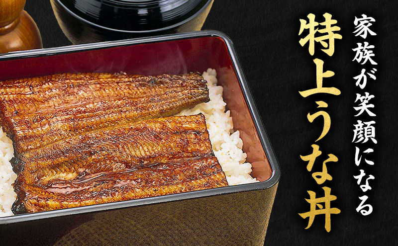 うなぎ 浜松 浜名湖産 鰻 蒲焼 約175g× 2尾 たれ 10ml×2 小分け セット 土用の丑の日 丑の日 国産うなぎ 浜松うなぎ 浜名湖うなぎ 国産 蒲焼き 特大 夏バテ防止 浜名湖 産地直送 冷凍 冷凍配送 静岡 静岡県 浜松市