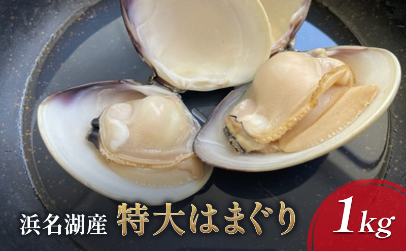 浜名湖産 特大はまぐり 1kg【配送不可：北海道・沖縄・離島】 たっぷり 栄養 貝柱 ぷりぷり 食感 美味しい  浜松市