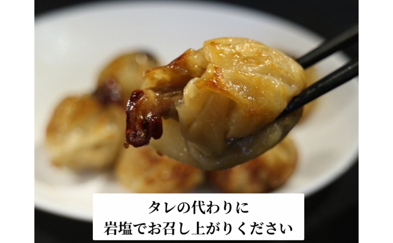 浜松餃子 うなぎパワー餃子 90個（10個入×9袋） 【配送不可：離島】 餃子 ぎょうざ 冷凍 惣菜 冷凍餃子 新感覚 お酒が進む ご飯が進む 岩塩 うなぎスープが溢れ出す 贅沢 肝の歯ごたえ