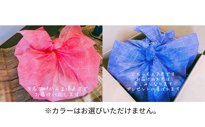 【定期便 全6回】 浜松餃子 うなぎパワー餃子 30個（10個入×3袋） ×6回【配送不可：離島】  餃子 冷凍 新感覚 お酒が進む ご飯が進む 岩塩 うなぎスープが溢れ出す 贅沢 肝の歯ごたえ