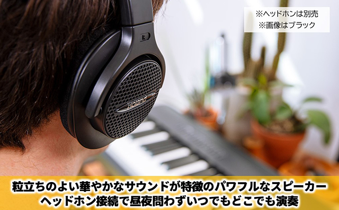 【Roland】本格電子ピアノ/FP-30X(ホワイト)【配送不可：離島】 楽器 コンパクト 高クオリティ ピアノ音源 自宅練習用 ステージ使い スタジオ使い Bluetoothオーディオ MIDI機能搭載 