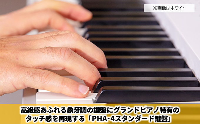 ãRolandãæ¬æ Œé»åãã¢ã/FP-60X(ãã©ãã¯)ãé
éäžå¯ïŒé¢å³¶ã æ¥œåš ãã¯ãã«ã¹ããŒã«ãŒ æ¬æ ŒæŽŸããŒã¿ãã«ãã¢ã ãã¢ã鳿º ããããã³3Dã¢ã³ããšã³ã¹ ã³ã³ãã¯ã