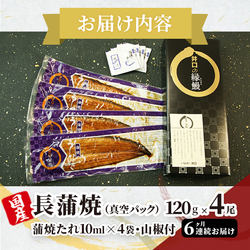 うなぎ 定期便 6ヶ月 国産 長蒲焼 4尾 小分け セット うなぎの井口 国産うなぎ うなぎ蒲焼 惣菜 おかず レンジ調理 レンチン 蒲焼き うな重 ひつまぶし ウナギ 鰻 真空パック 井口 冷蔵 冷蔵配送 静岡 静岡県 浜松市 定期 6回 配送不可：離島