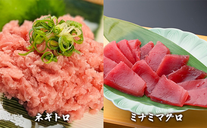 【3回定期便】天然まぐろ食べ比べ4種セット 合計1kg（バチマグロ切落し・びん長マグロ・ミナミマグロ・ネギトロ 250g×各１袋）×3回【配送不可：離島】