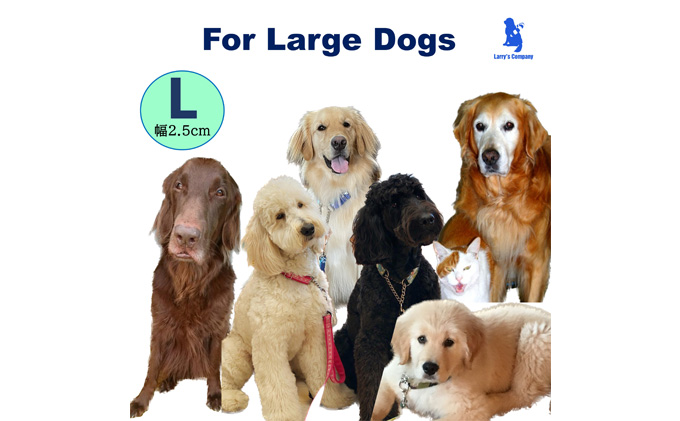 【大型犬用・Lサイズ】 ハーフチョークカラーとリードのセット（ピンクハート＆ターコイズ）