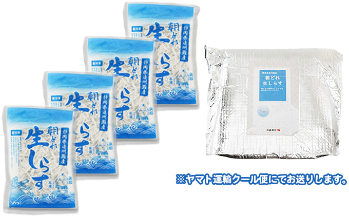 【数量限定】浜松生しらす（冷凍）100g×4パック