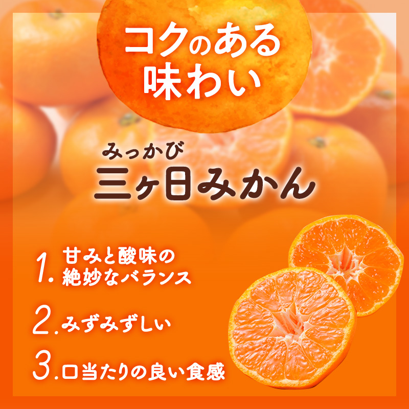 三ヶ日みかん 青島 3kg L又は2L 1月中旬より順次発送 みかん ミカン 蜜柑 青島みかん 三ヶ日 果物 くだもの フルーツ 旬の果物 旬のフルーツ 柑橘 柑橘類 糖度 静岡 静岡県 浜松市