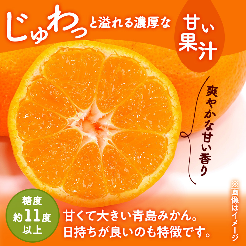 三ヶ日みかん 青島 3kg L又は2L 1月中旬より順次発送 みかん ミカン 蜜柑 青島みかん 三ヶ日 果物 くだもの フルーツ 旬の果物 旬のフルーツ 柑橘 柑橘類 糖度 静岡 静岡県 浜松市