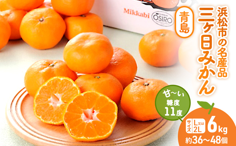 三ヶ日みかん 青島 6kg L～2L 青島みかん みかん 蜜柑 ミカン 果物 くだもの 旬のフルーツ 旬の果物 季節のフルーツ 季節の果物 柑橘 柑橘類 静岡 静岡県 浜松市