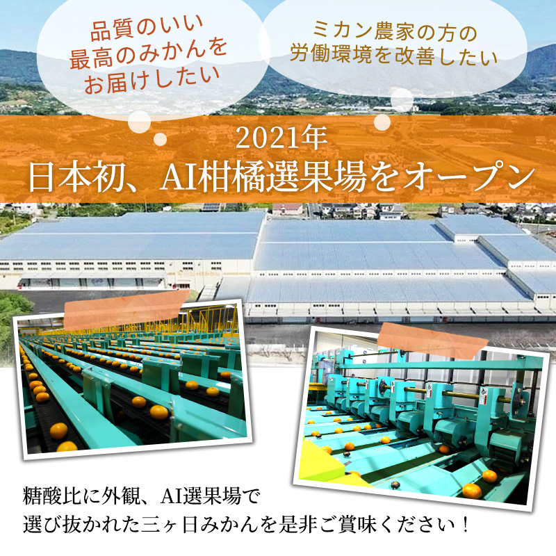 三ヶ日みかん 早生 8kg S～L 優品 11月中旬より順次発送 みかん ミカン 蜜柑 早生みかん 三ヶ日 果物 くだもの フルーツ 旬の果物 旬のフルーツ 柑橘 柑橘類 糖度 静岡 静岡県 浜松市 【配送不可：離島】