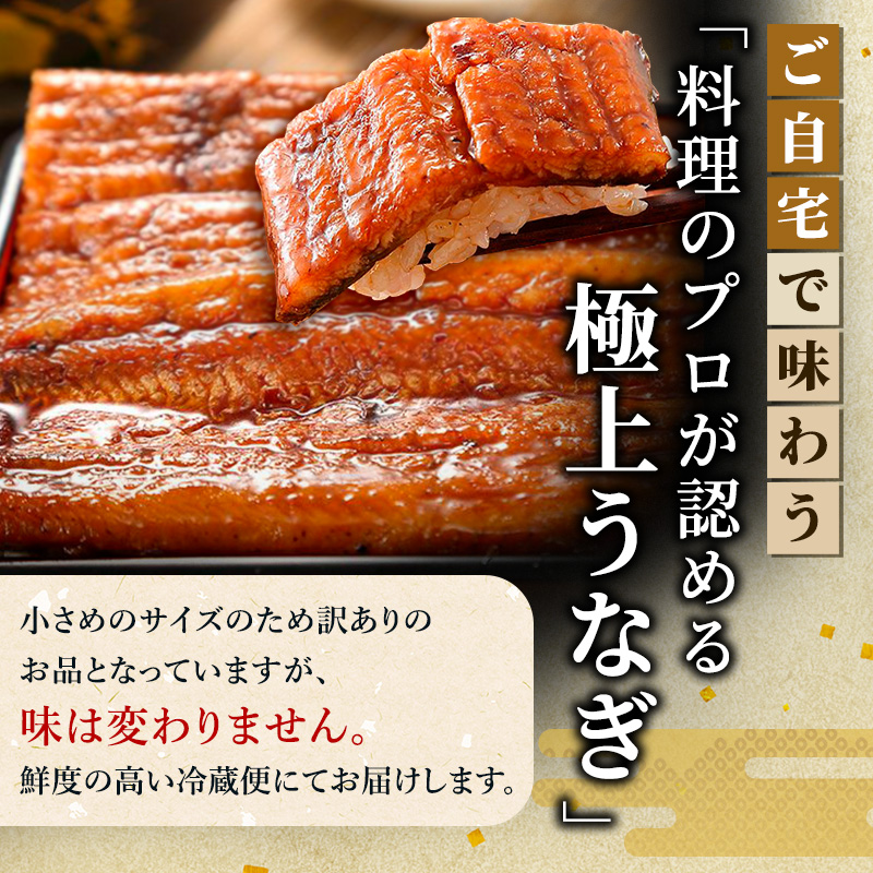 ããªã èš³ãã ITIåªç§å³èŠè³åè³ åœç£ é·è²çŒ 4å°Ÿ ããä» å°åã ã»ãã ããªãè²çŒ åœç£ããªã æ£è ããã åçšã®äžã®æ¥ äžã®æ¥ è²çŒã ããªé ãŠãã® é°» éå²¡ç æµæŸåž é
éäžå¯ïŒé¢å³¶ ã2026幎1æ15æ¥ä»¥éé æ¬¡çºéã