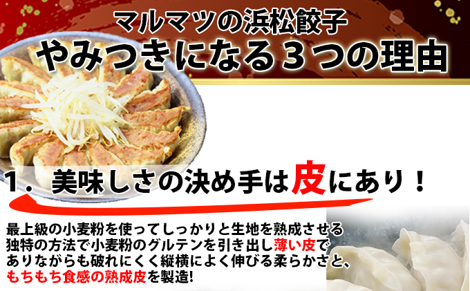 浜松餃子　120粒（定番の味　30粒×4袋）　総重量2.4kg！