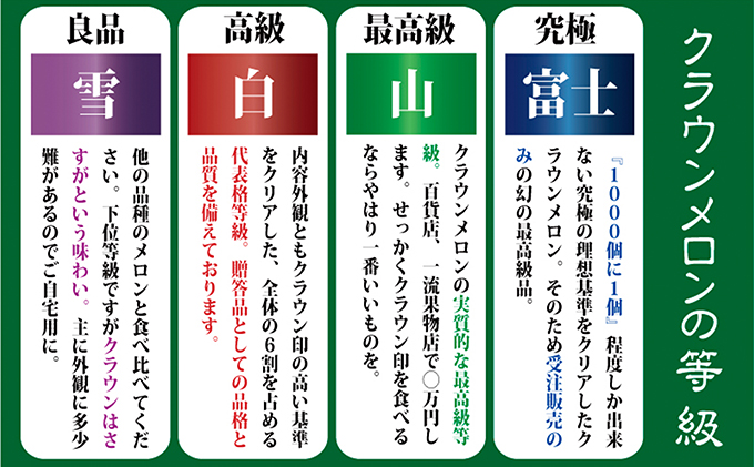 クラウンメロン　特大玉　1玉　12ヵ月連続お届け【配送不可：離島】